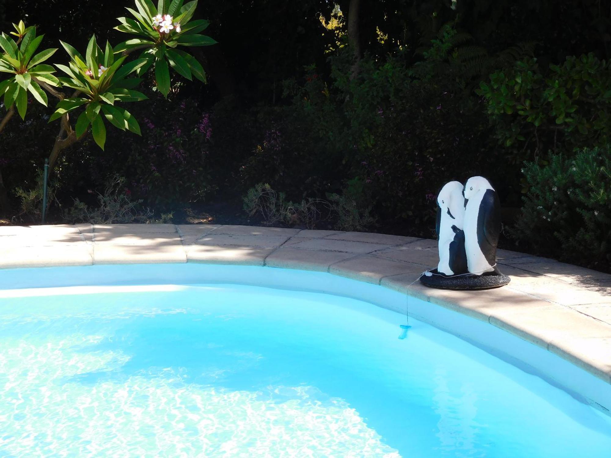 Garden- Pool Flat With Solar Electricity Somerset West Exterior foto